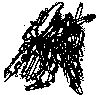 e`|OPO|`